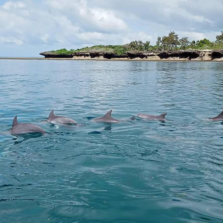 Apartamento Wasini Raha Snorkeling And Diving Exterior foto