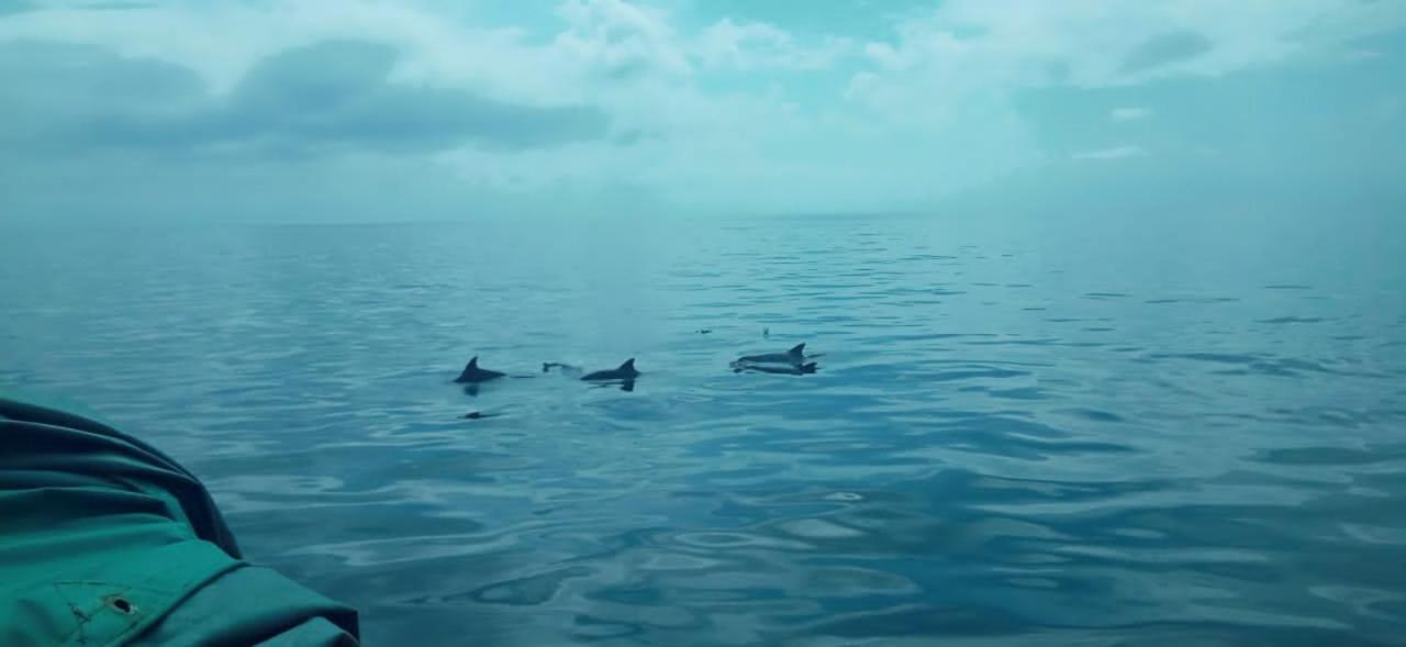 Apartamento Wasini Raha Snorkeling And Diving Exterior foto